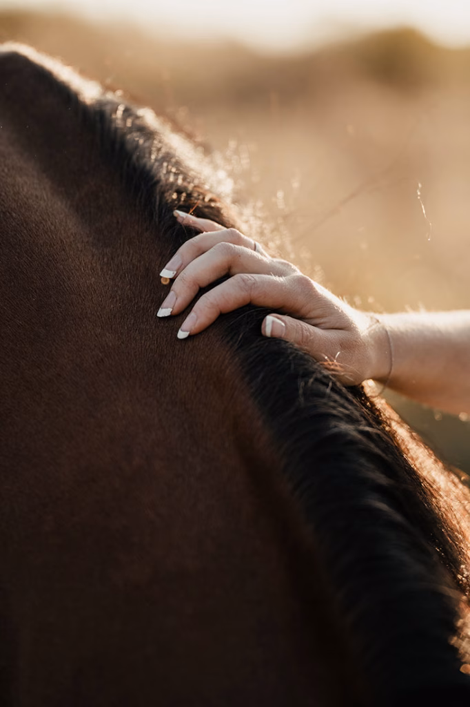 Hochzeitsshooting mit Pferd